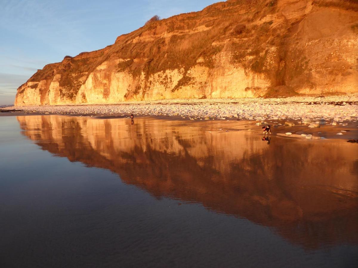 Frankies Flat, A Superb Apartment In Flamborough. المظهر الخارجي الصورة